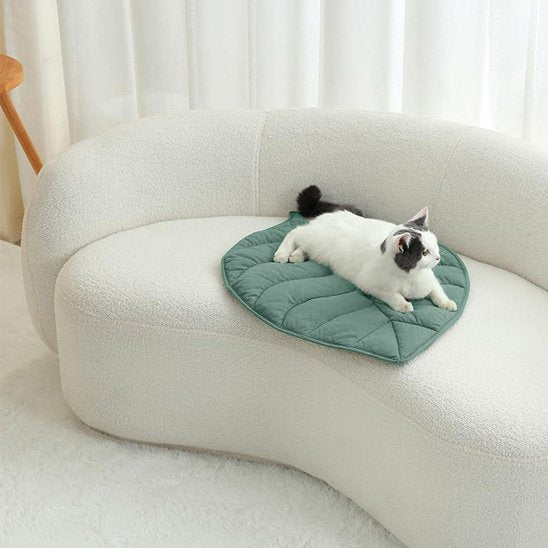 coussin a chat tapis feuille avec chat allongé canapé