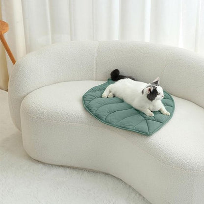 coussin a chat tapis feuille avec chat allongé canapé