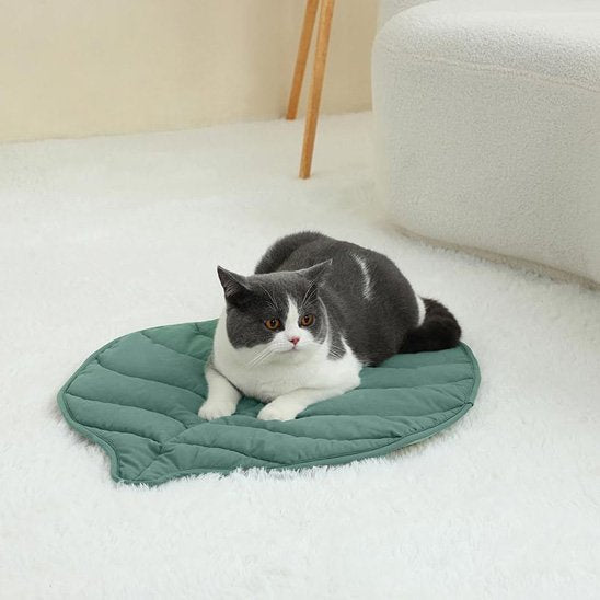 coussin a chat tapis feuille avec chat allongé