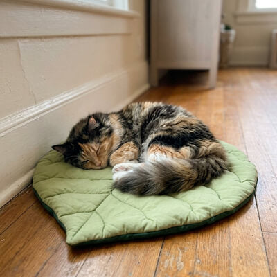 coussin à chat tapis feuille avec chat endormi