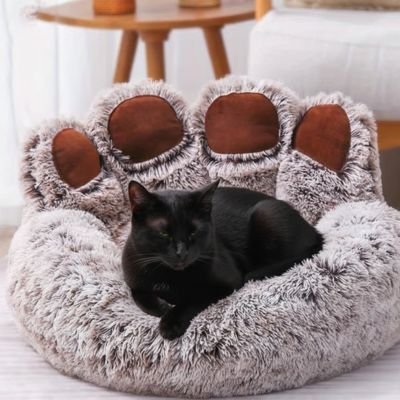coussin chat patte d'ours gris chat noir endormi