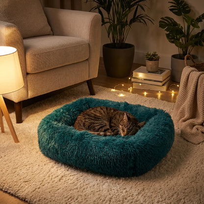 coussin chat vert foncé émeraude avec chat endormi