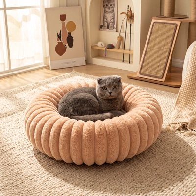 coussin pour chat beige chat gris curieux