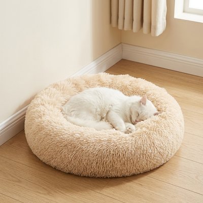 coussin pour chat beige clair avec chat endormi