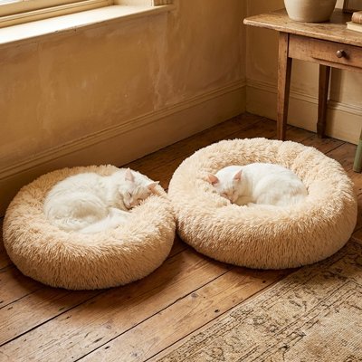 coussin pour chat beige clair deux tailles avec chats 