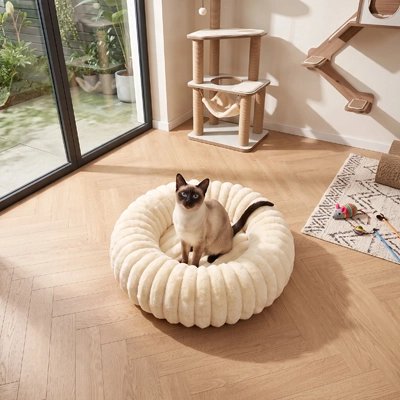 coussin pour chat blanc chat siamois 