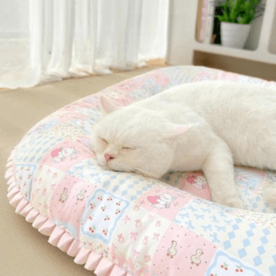 coussin pour chat carré rembourré avec chat blanc endormi 
