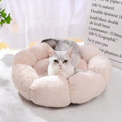 coussin pour chat fleur beige