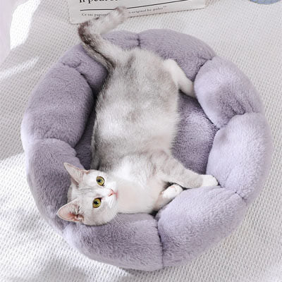coussin pour chat fleur gris 
