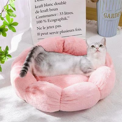 coussin pour chat fleur rose