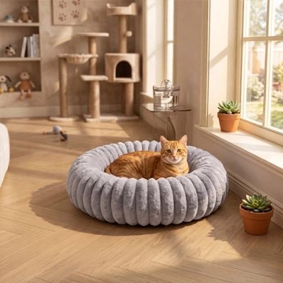 coussin pour chat rond gris chat roux éveillé 