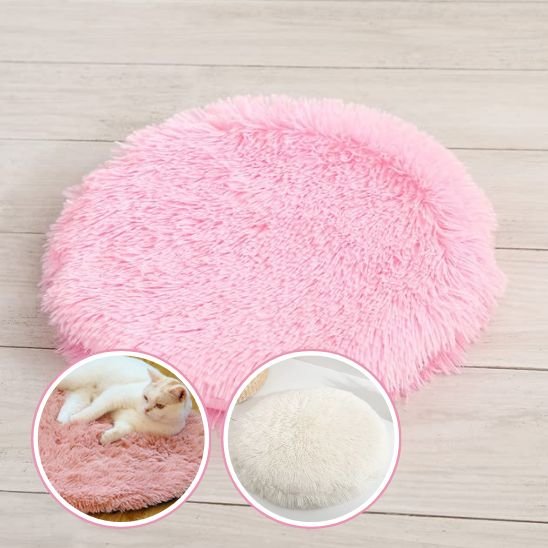 coussin pour chat rond plat avec chat allonge