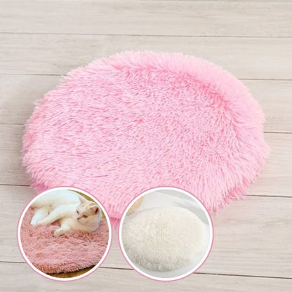 coussin pour chat rond plat avec chat allonge