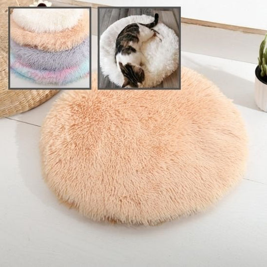 coussin pour chat rond plat avec chat plusieurs colories