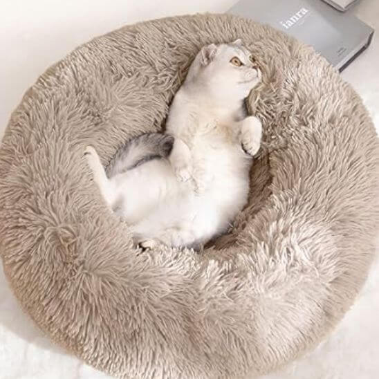 coussin pour chat rondodo khaki 
