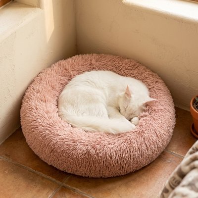 coussin pour chat rose poudre avec chat endormi