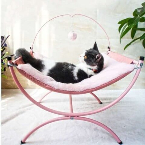 hamac à chat sur pieds rose avec chat allongé tranquille 