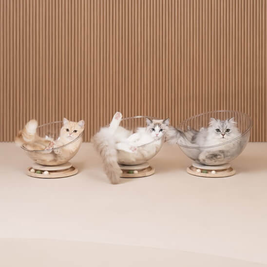 hamac chat capsule transparente semi-ronde 2