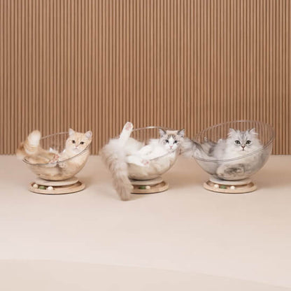 hamac chat capsule transparente semi-ronde 2