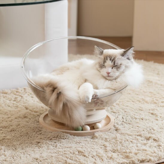 hamac chat capsule transparente semi-ronde 3