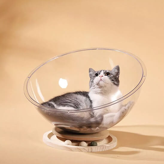 hamac chat capsule transparente semi-ronde 4