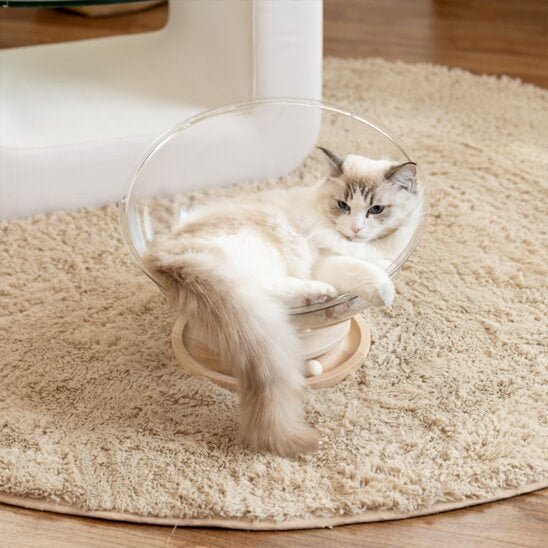 hamac chat capsule transparente semi-ronde 5
