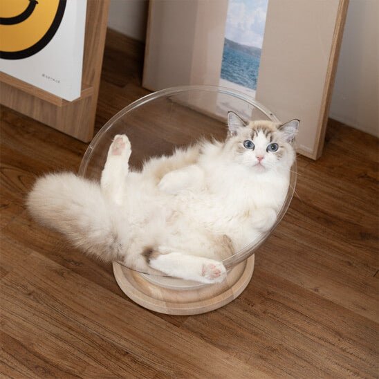 hamac chat capsule transparente semi-ronde