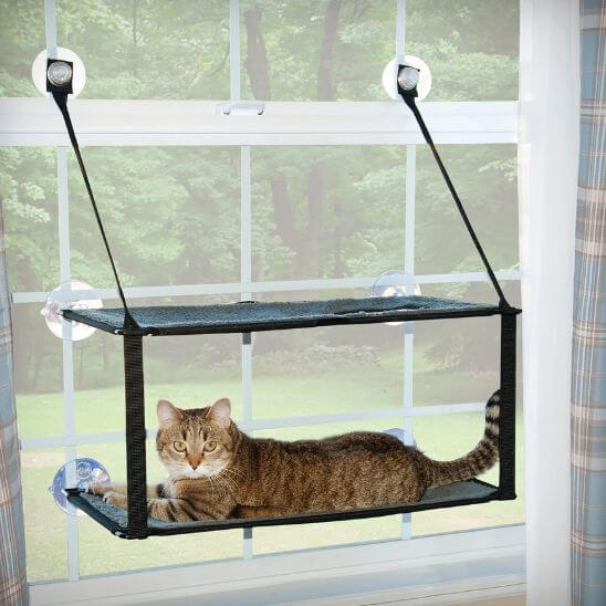 hamac chat fenetre double avec chat allongé