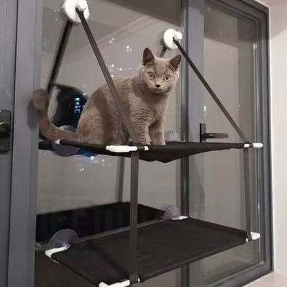 hamac chat fenetre double avec chat gris 