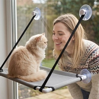 hamac chat fenetre gris sangle humain chat assis