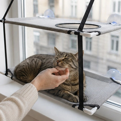 hamac chat fenetre hamac double gris chat caresse 