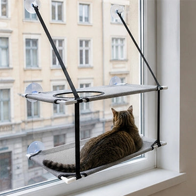 hamac chat fenetre hamac double gris chat regardant extérieur