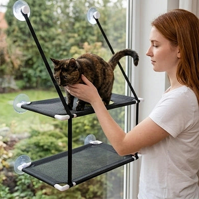 hamac chat fenetre hamac double noir humain chat caresse 