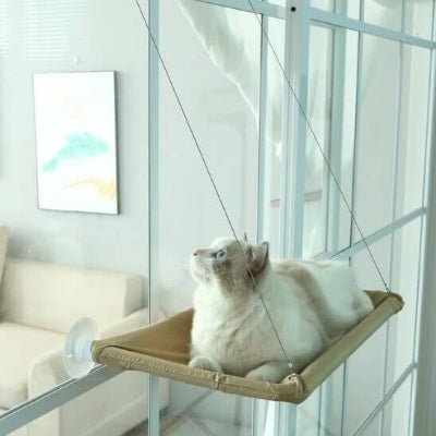 hamac chat fenetre hamac simple khaki