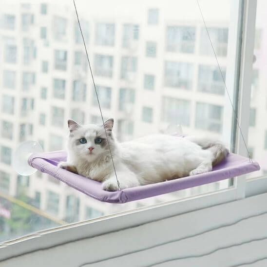 hamac chat fenetre hamac simple violet 