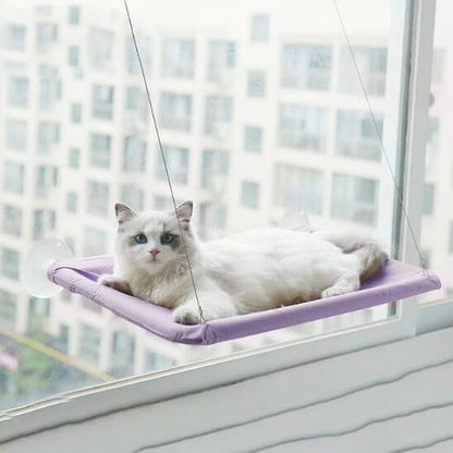 hamac chat fenetre hamac simple violet 