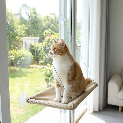 hamac chat fenêtre khaki vue jardin chat
