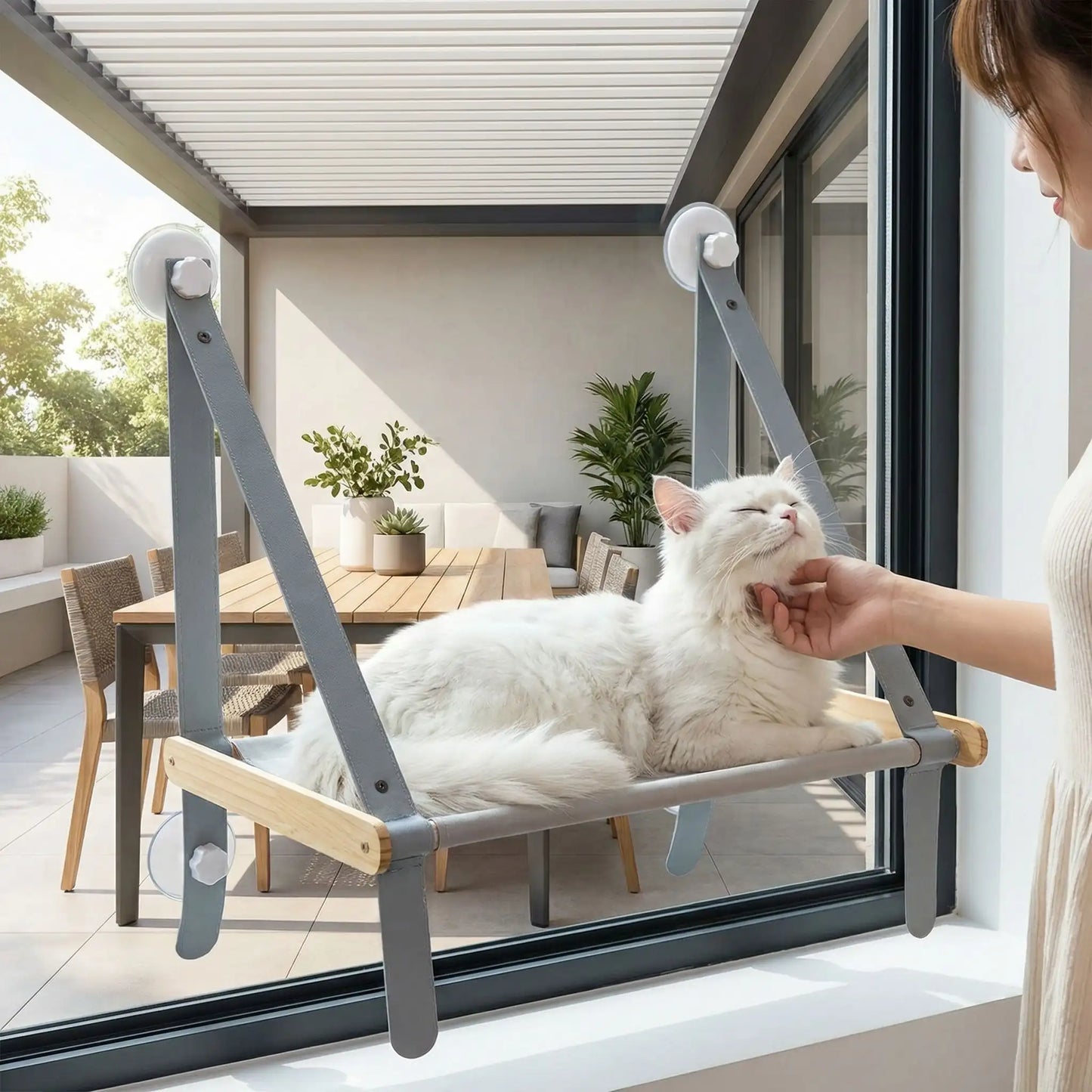 hamac chat fenêtre sangles avec chat humain 