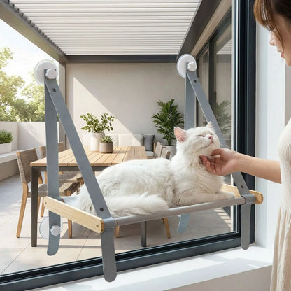 hamac chat fenêtre sangles avec chat humain 