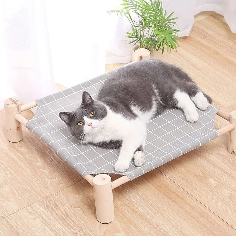 hamac chat lit bois sur pieds avec chat allongé 