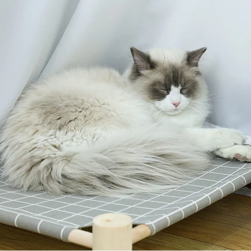 hamac chat lit bois sur pieds avec chat dodo