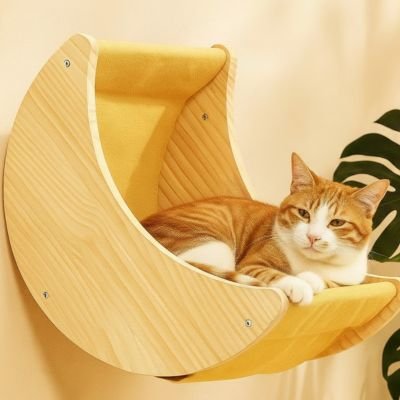 hamac chat mural croissant de lune avec chat tranquille