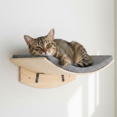 hamac chat mural incurvé avec chat dodo
