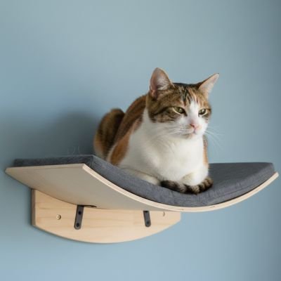 hamac chat mural incurvé avec chat tranquille 