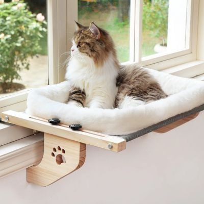 hamac de fenêtre pour chat coussin blanc avec chat curieux