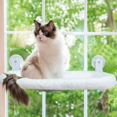 hamac de fenêtre pour chat housse peluche blanche avec chat curieux 