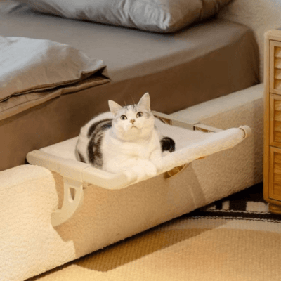 hamac de fenêtre pour chat tissu scratch accroché lit chat 