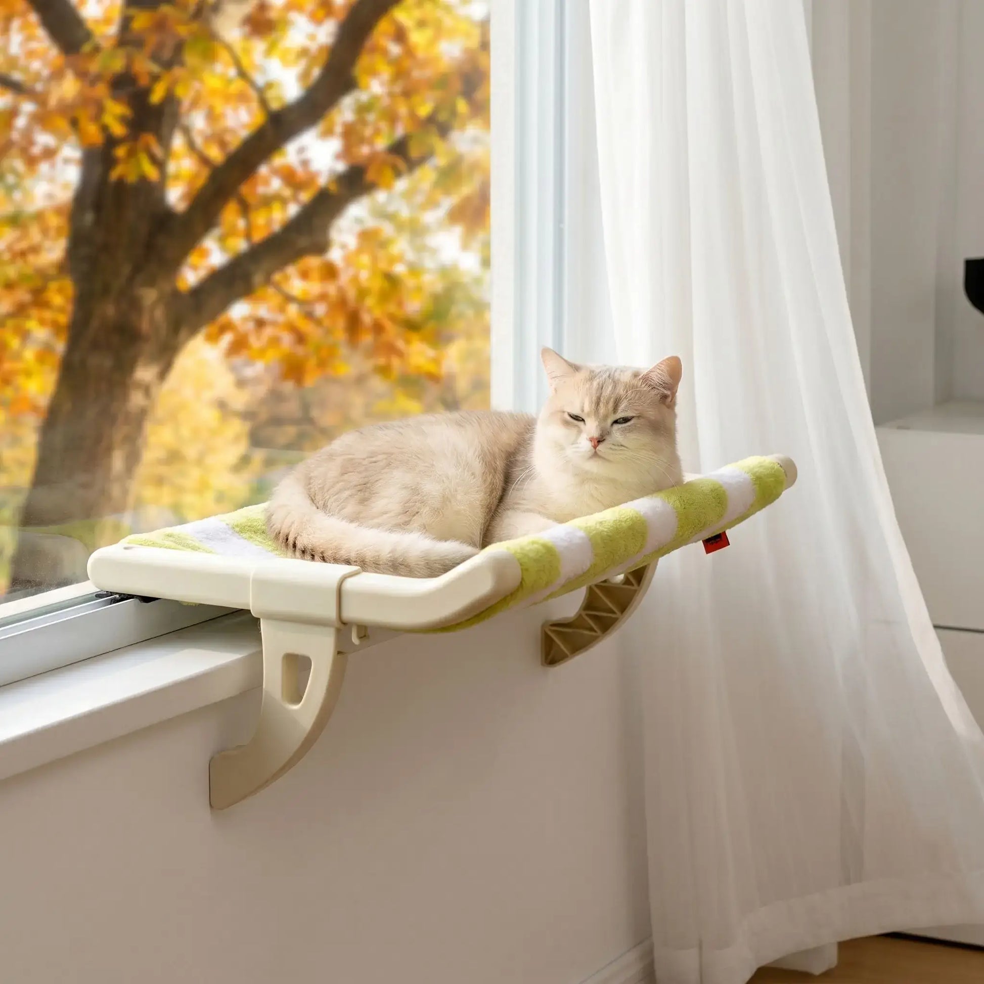 hamac de fenêtre pour chat tissu scratch avec chat automne 