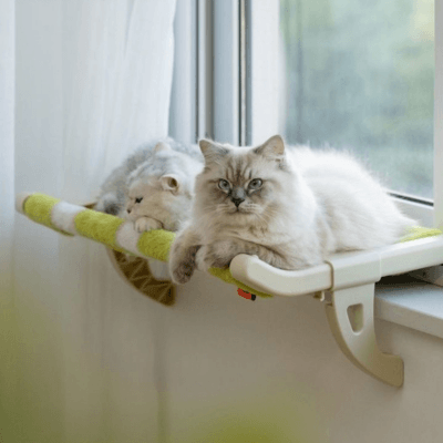 hamac de fenêtre pour chat tissu scratch avec chats allongés 