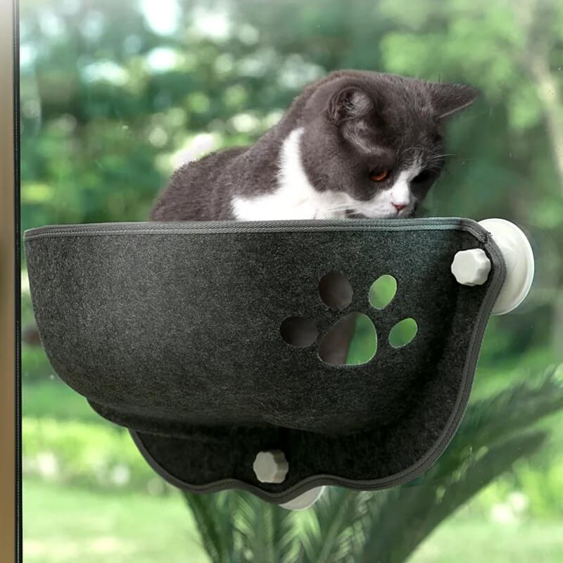 hamac fenêtre chat feutrine gris avec chat assis